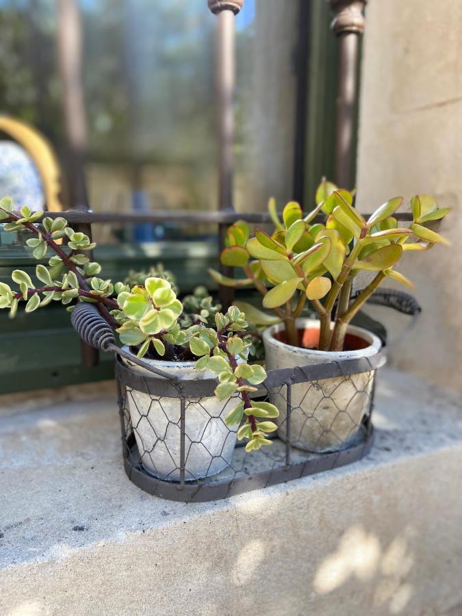Le Jardinet De Rosa Maison De Village Eygalières 외부 사진