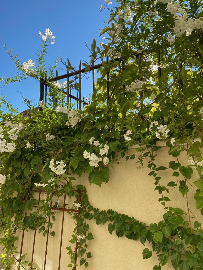 Le Jardinet De Rosa Maison De Village Eygalières 외부 사진